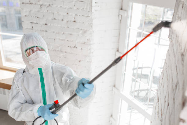 Best Mold Removal for HVAC Installations  in Buffalo, WY