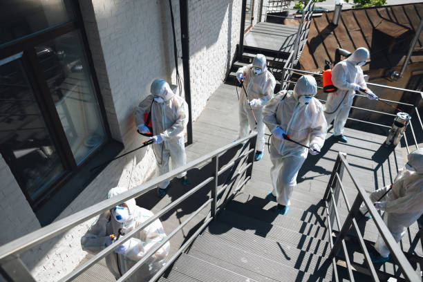 Best Residential Mold Inspection & Testing  in Buffalo, WY