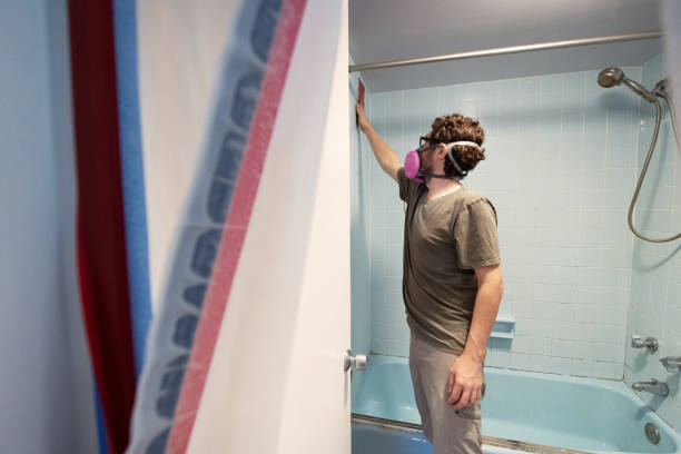 Best Mold Prevention Services  in Buffalo, WY