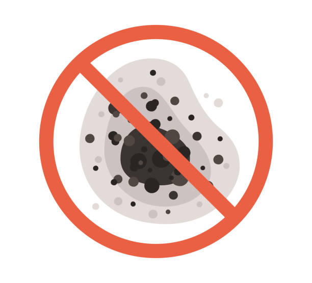  Buffalo, WY Mold Removal Pros