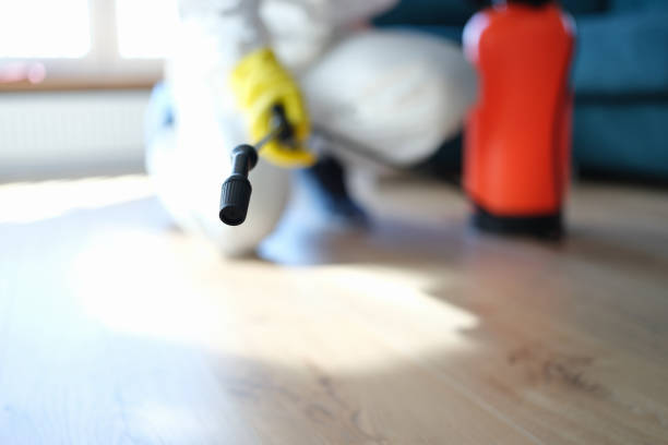 Best HVAC Mold Inspection and Cleaning  in Buffalo, WY