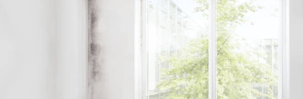 Best Indoor Air Quality Assessment  in Buffalo, WY