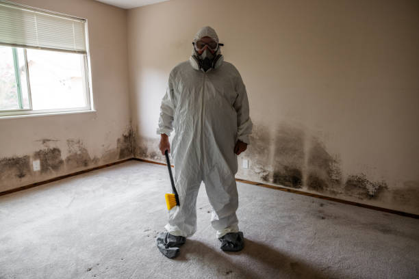 Best Industrial Mold Remediation  in Buffalo, WY